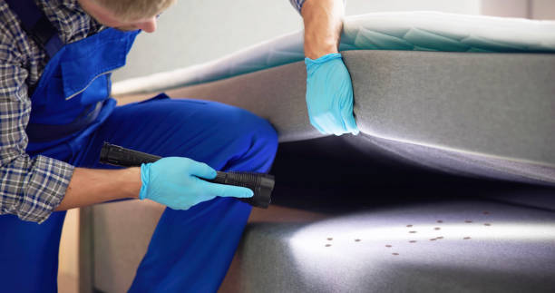Reliable South Riding, VA Pest Control Solutions